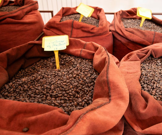 Il riposo del chicco